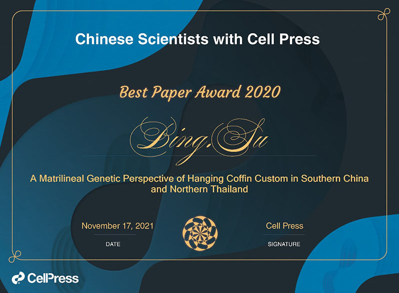 电子游戏app下载安装