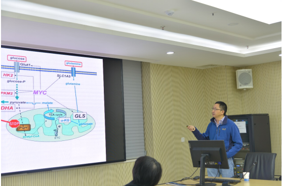 电子游戏app下载安装