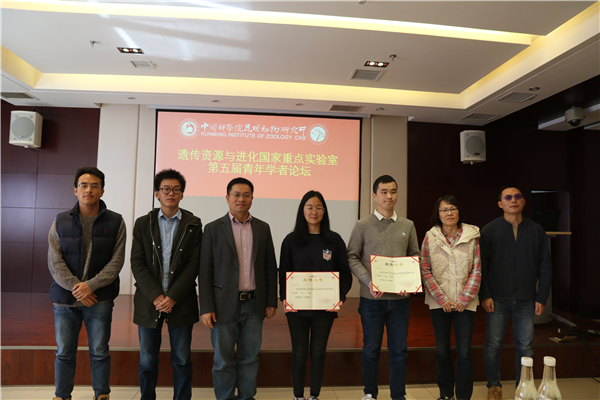 电子游戏app下载安装