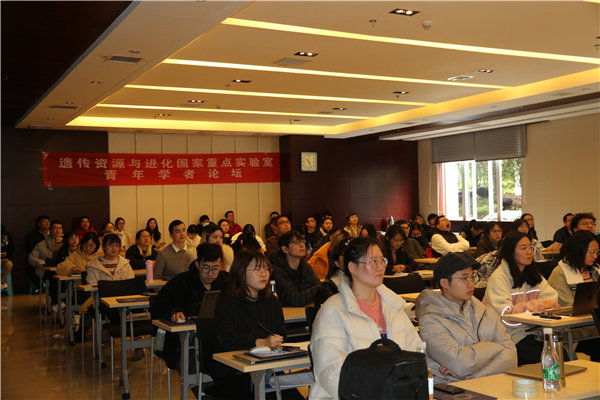 电子游戏app下载安装