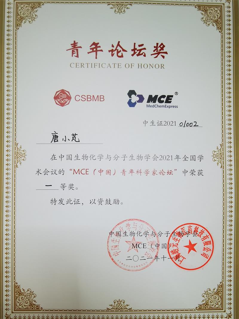 电子游戏app下载安装