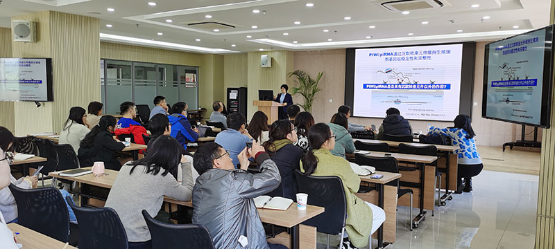 电子游戏app下载安装