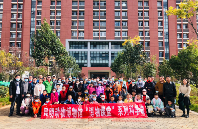 电子游戏app下载安装