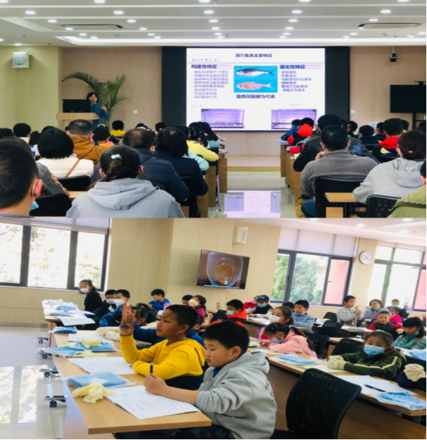 电子游戏app下载安装