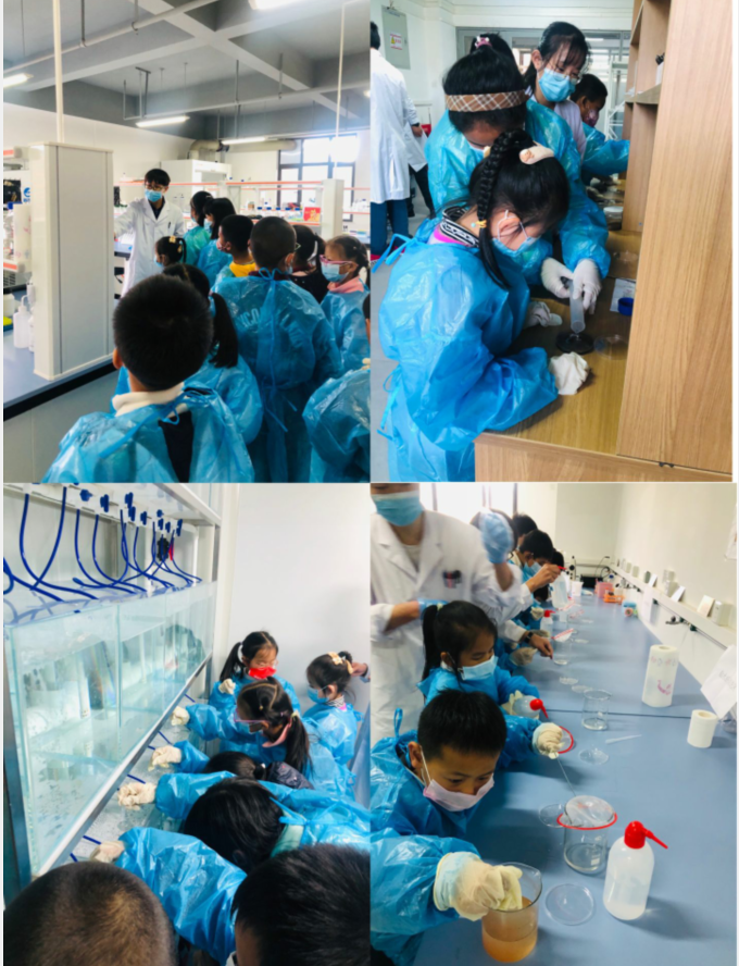 电子游戏app下载安装