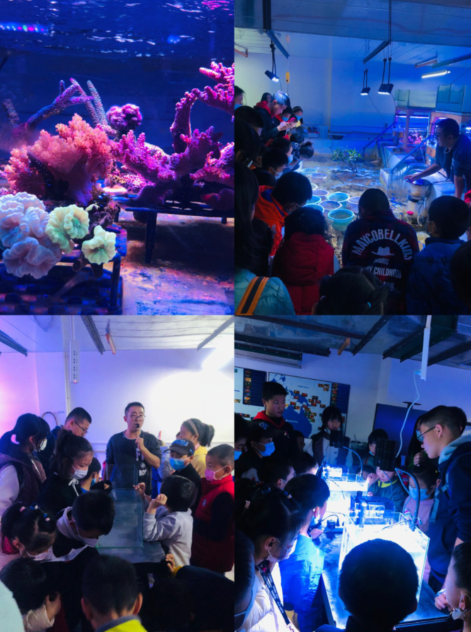 电子游戏app下载安装