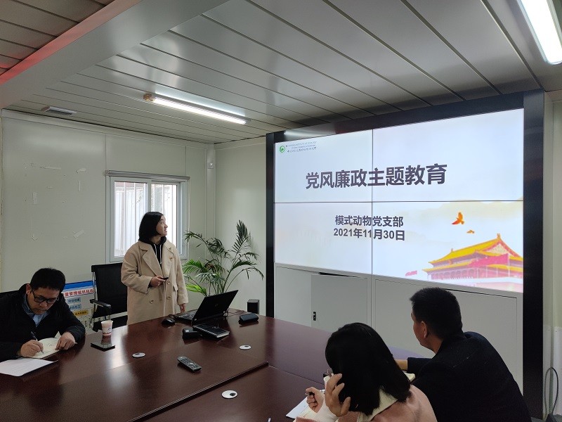 电子游戏app下载安装