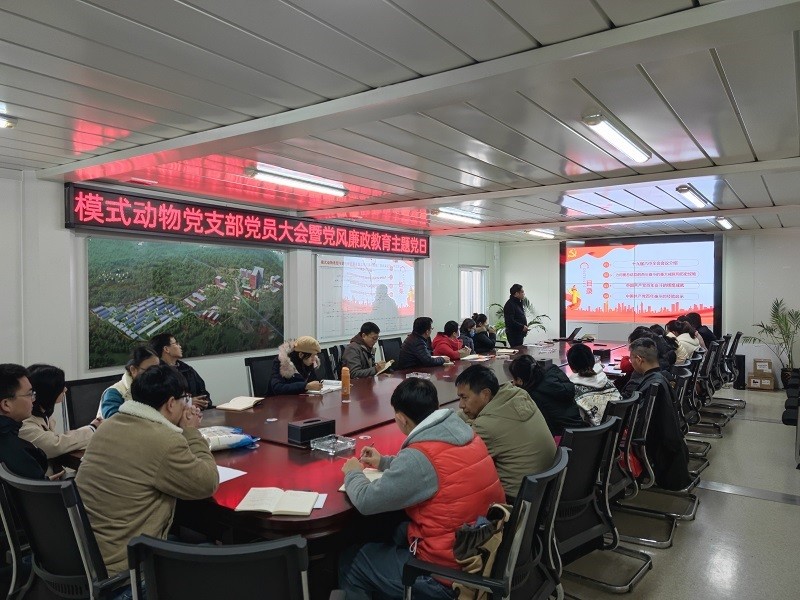 电子游戏app下载安装