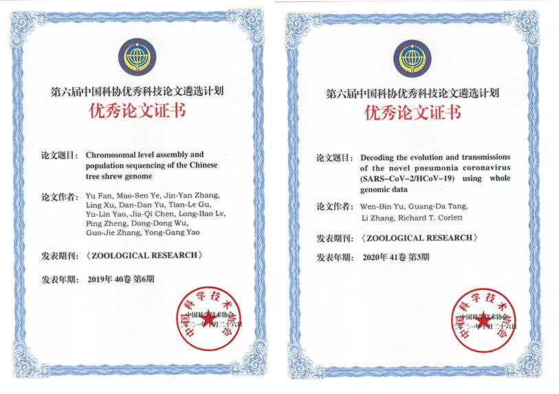 电子游戏app下载安装