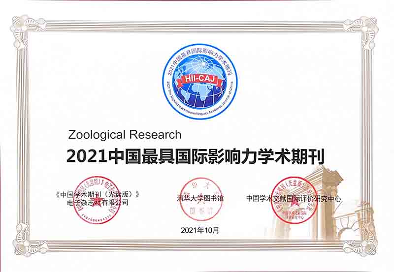 电子游戏app下载安装