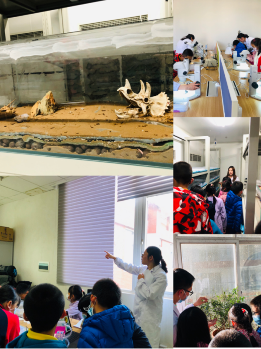 电子游戏app下载安装