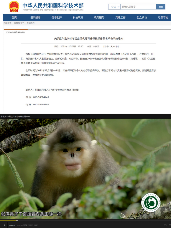 电子游戏app下载安装