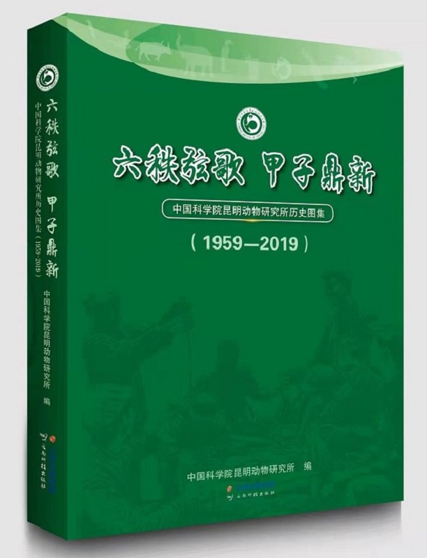 电子游戏app下载安装