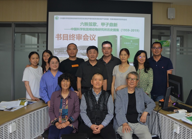 电子游戏app下载安装