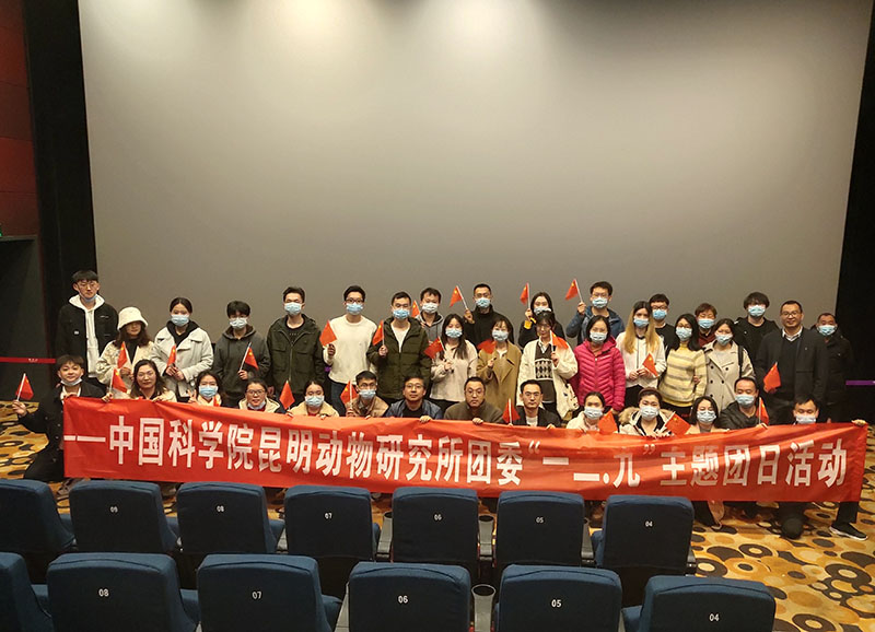 电子游戏app下载安装