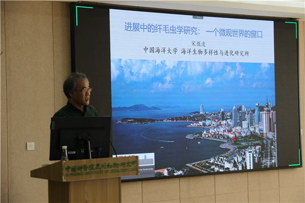 电子游戏app下载安装