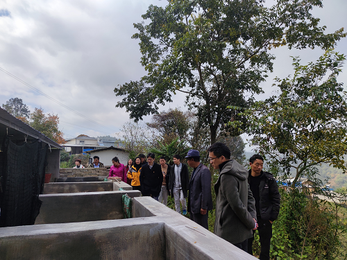 电子游戏app下载安装