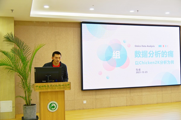 电子游戏app下载安装