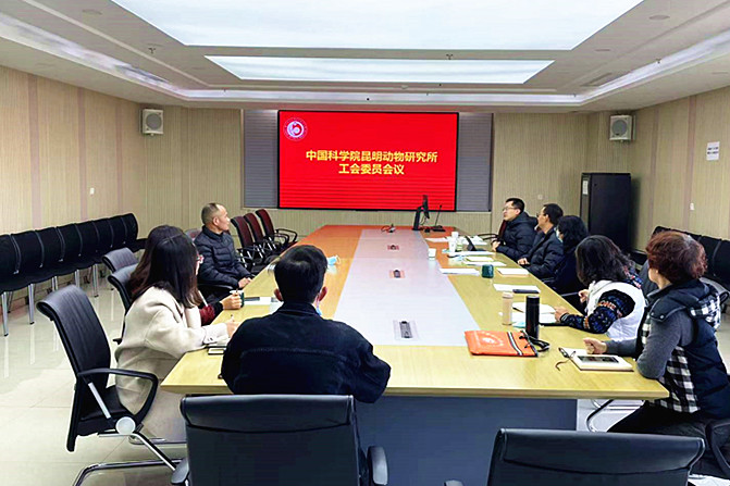 电子游戏app下载安装