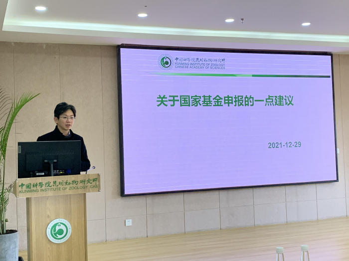 电子游戏app下载安装