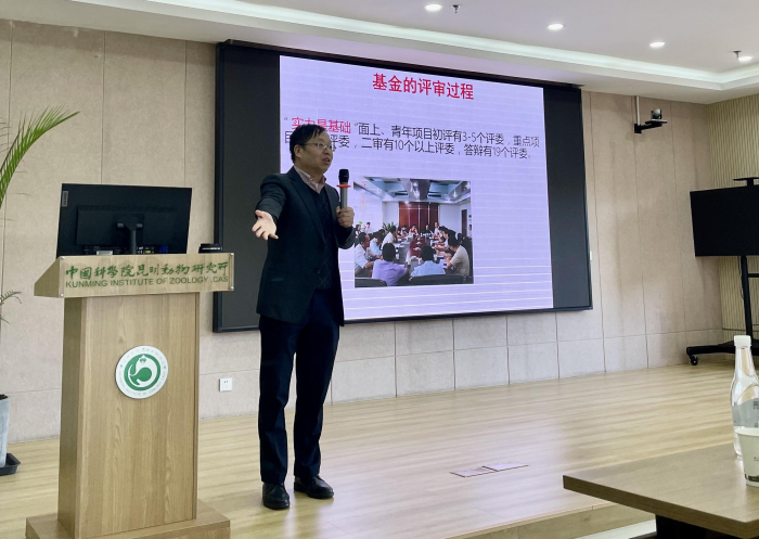 电子游戏app下载安装