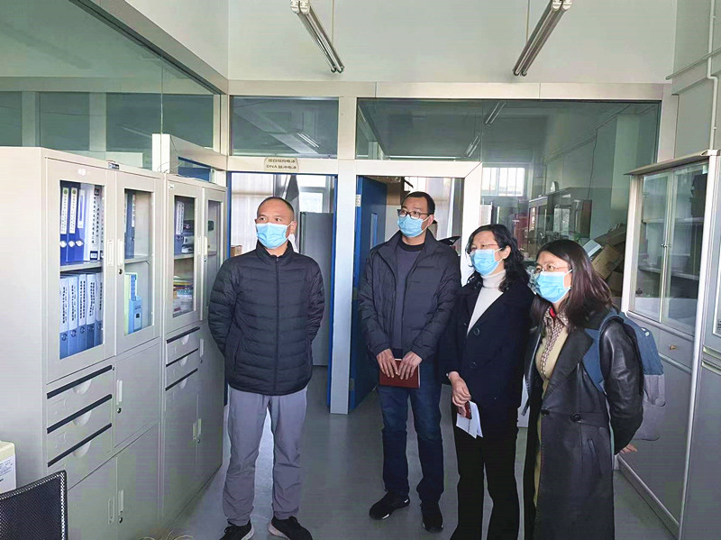 电子游戏app下载安装