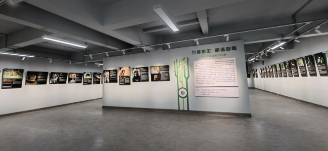 电子游戏app下载安装