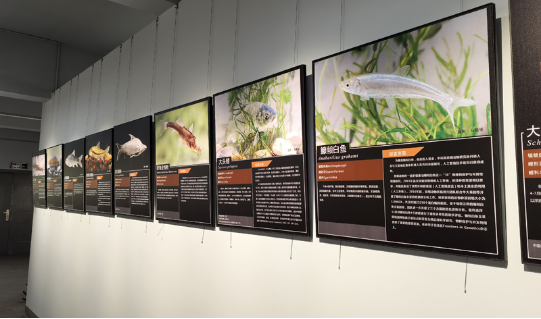 电子游戏app下载安装