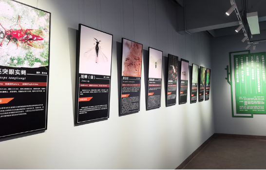 电子游戏app下载安装