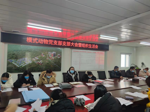 电子游戏app下载安装