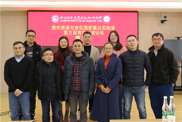 电子游戏app下载安装