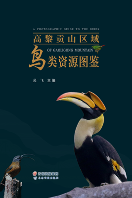 电子游戏app下载安装