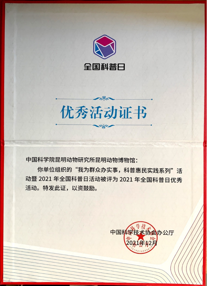 电子游戏app下载安装