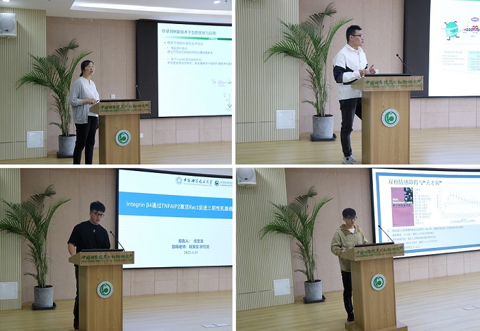 电子游戏app下载安装