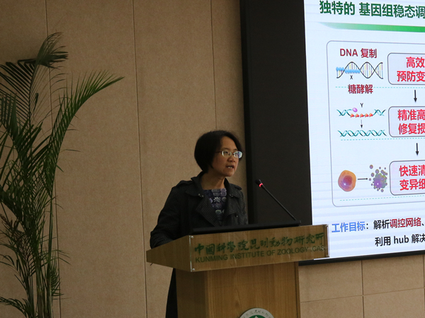 电子游戏app下载安装