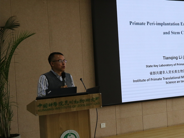 电子游戏app下载安装