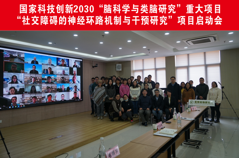 电子游戏app下载安装