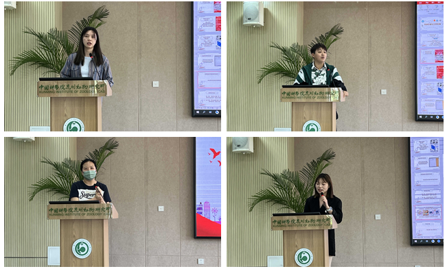 电子游戏app下载安装