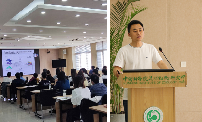 电子游戏app下载安装