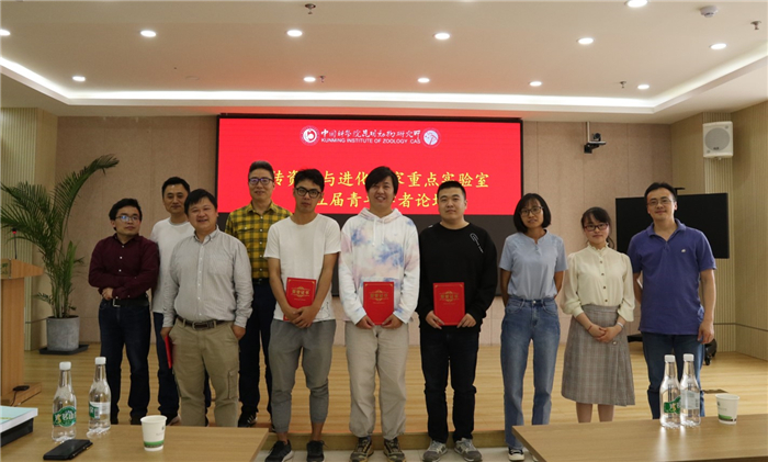 电子游戏app下载安装