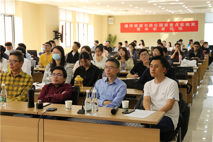 电子游戏app下载安装