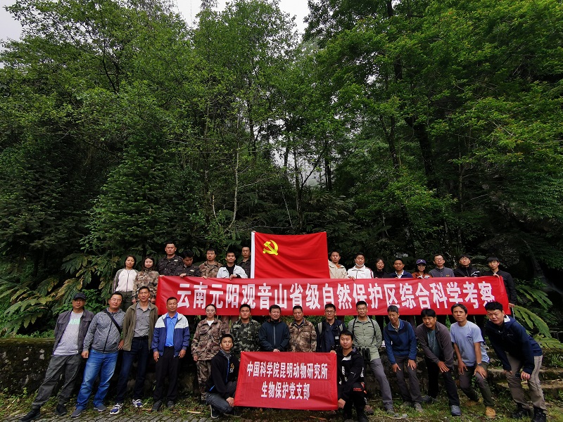 电子游戏app下载安装