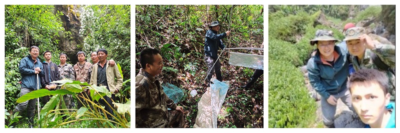 电子游戏app下载安装