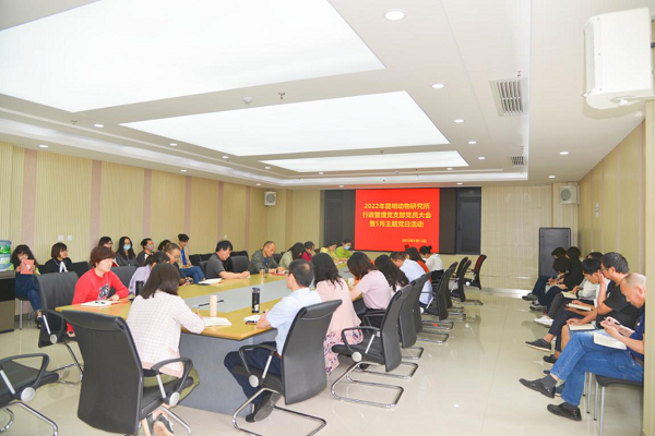 电子游戏app下载安装