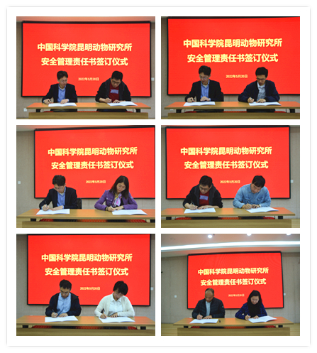 电子游戏app下载安装