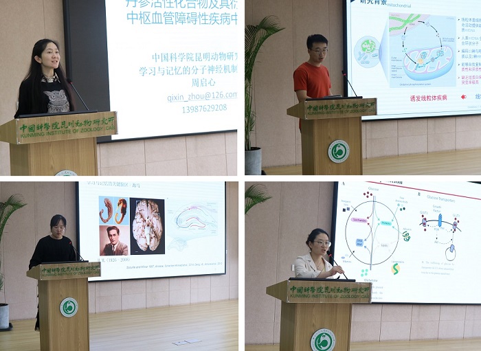 电子游戏app下载安装