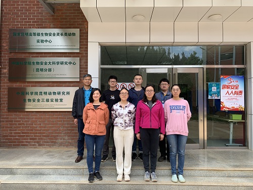 电子游戏app下载安装