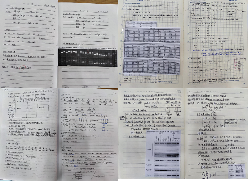 电子游戏app下载安装