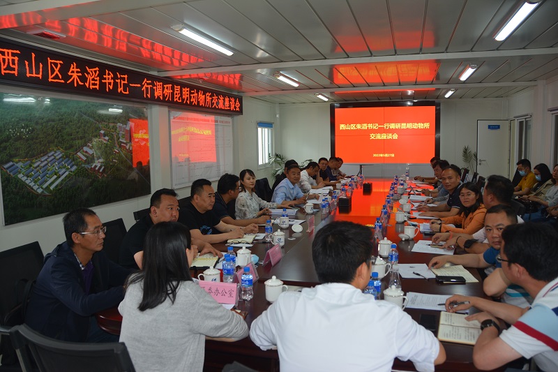 电子游戏app下载安装