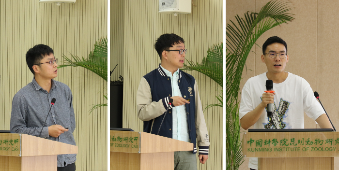 电子游戏app下载安装